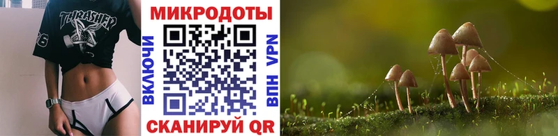 Купить закладки  Бодайбо  Галлюциногенные грибы MAGIC MUSHROOMS 
